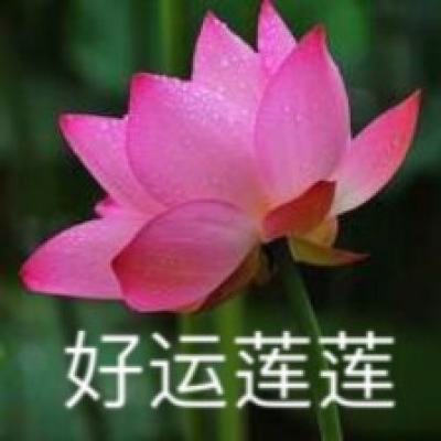 “山花”盛放!第十三届中国民间文艺山花奖揭晓